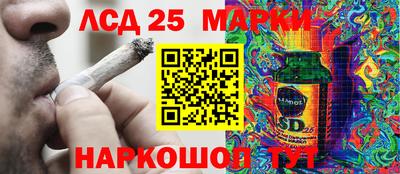 apvp Пушкино